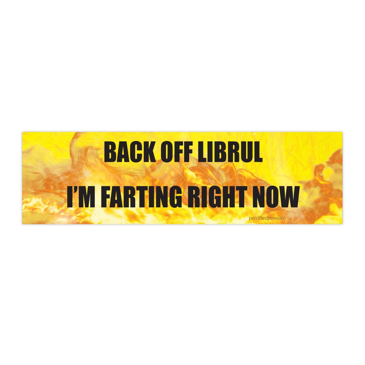 BACK OFF im FARTING right now bumper sticker
