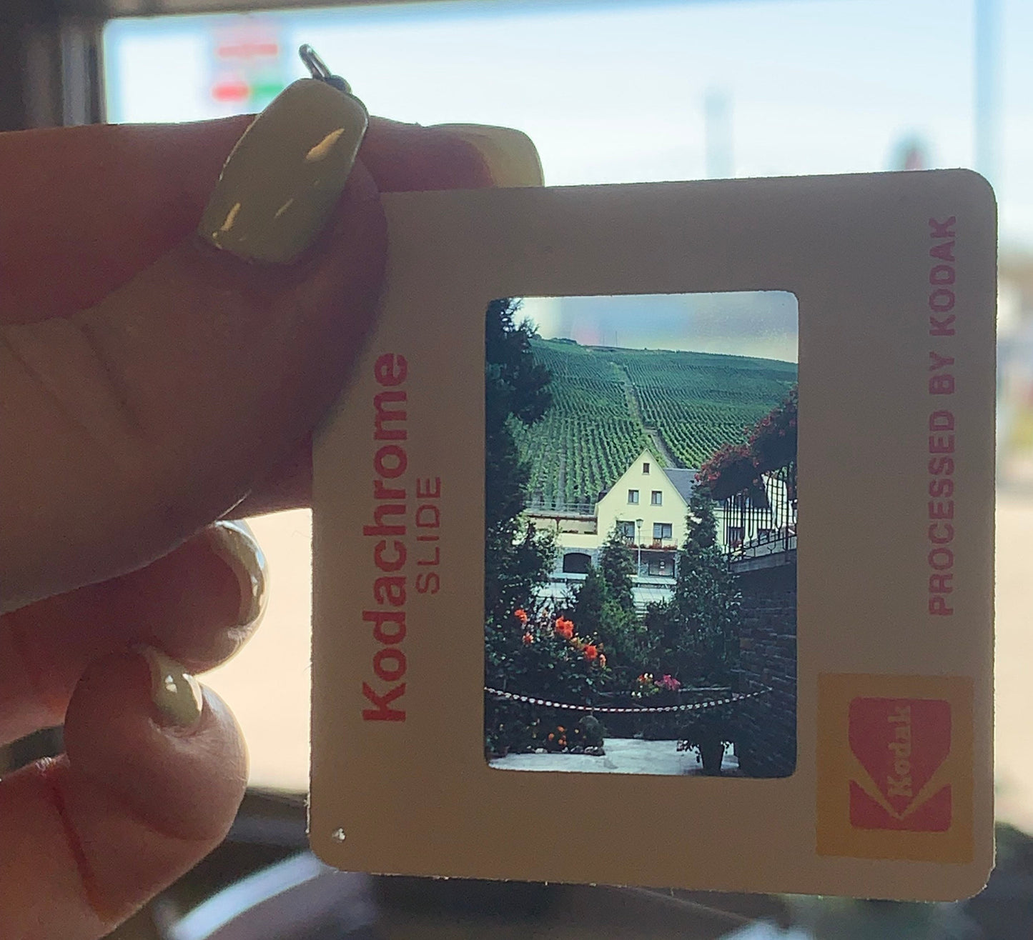 vintage 35mm photo slide earrings