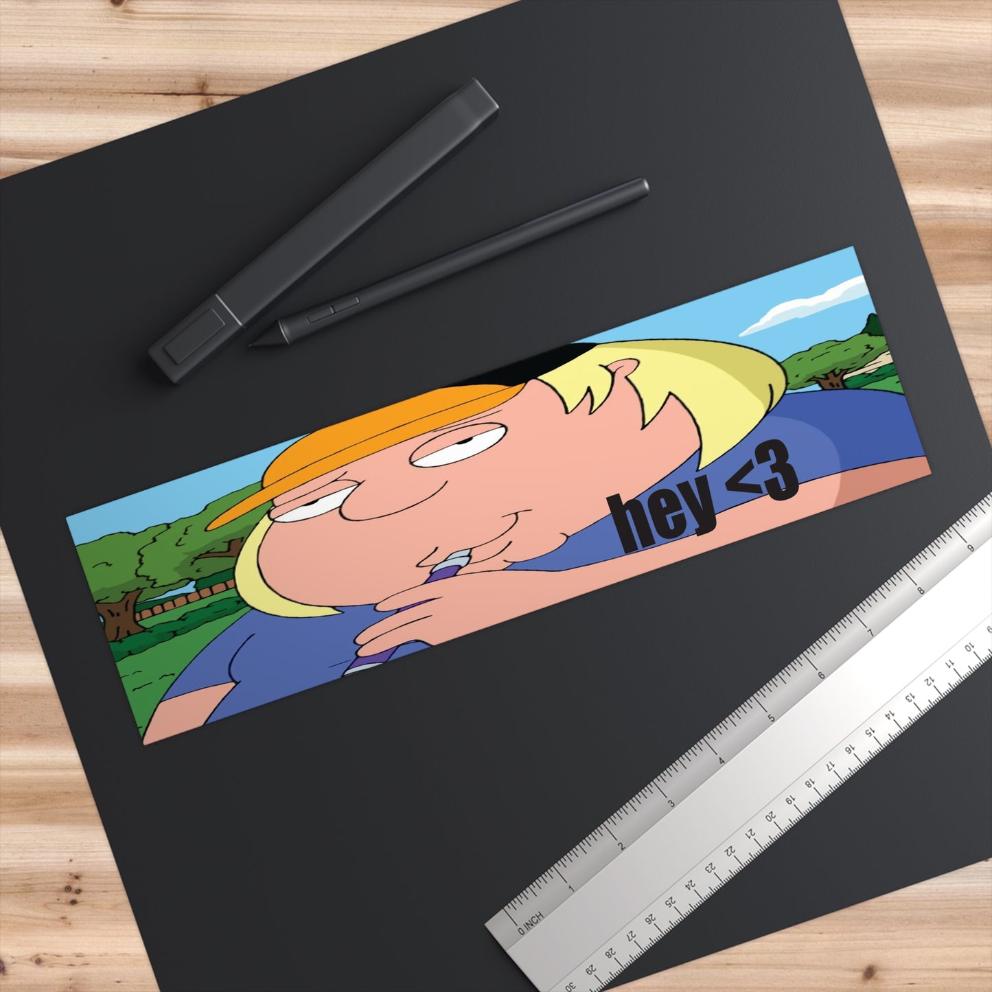 funny family guy chris silly bumper stickers