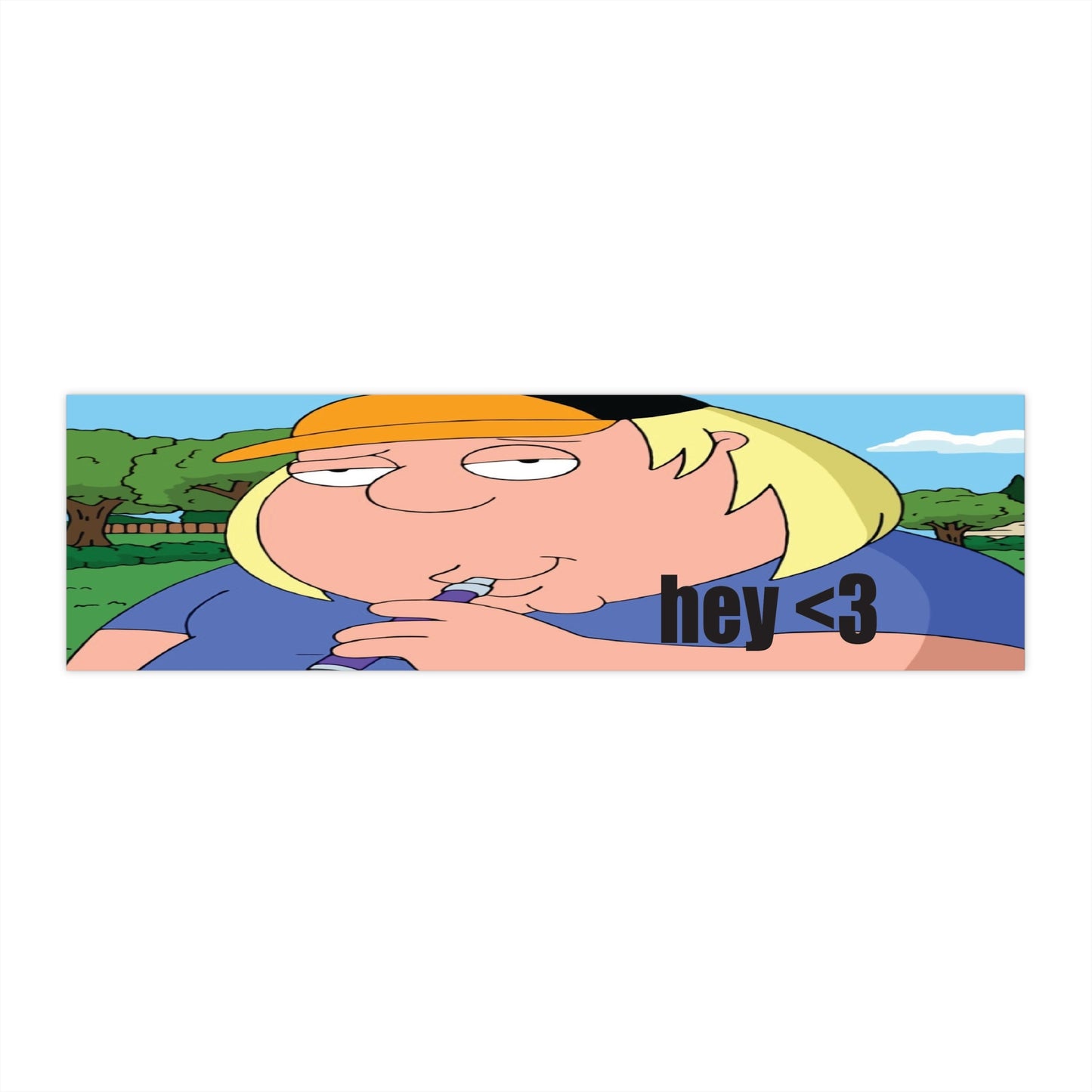 funny family guy chris silly bumper stickers