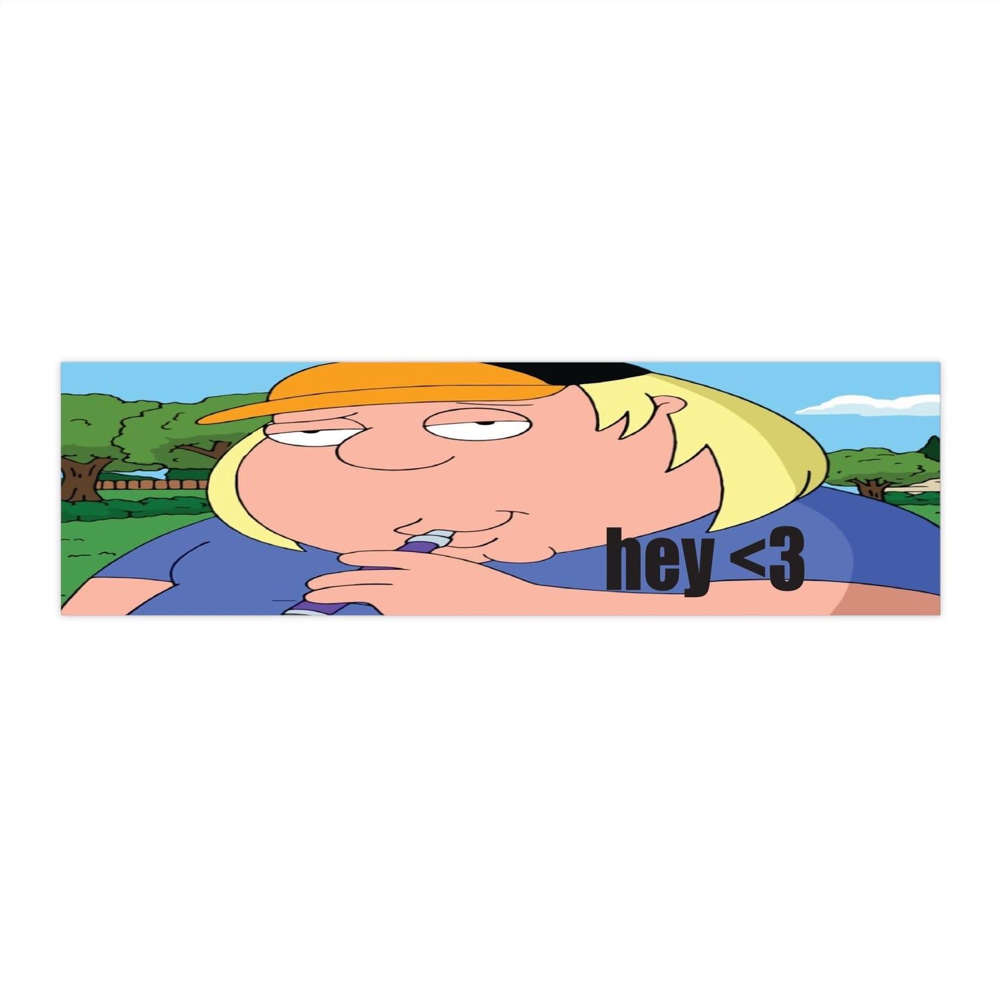funny family guy chris bumper sticker